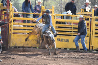 Sunday Bullriding /SteerBroncRiding