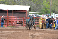 Sunday Calf Roping/Ribon Roping