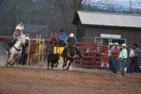 Friday Steer Wrestling